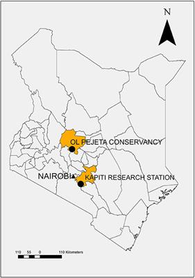 Clinical Evaluation of Corridor Disease in Bos indicus (Boran) Cattle Naturally Infected With Buffalo-Derived Theileria parva